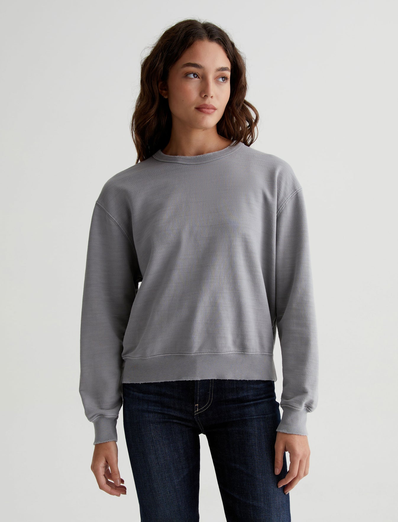 Nova Crew|AG-ed Relaxed Crew Neck Sweatshirt